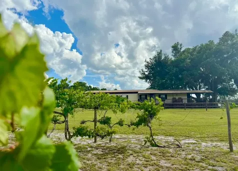 44645 Misty Isle Drive Deland FL 32720