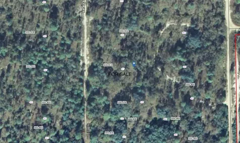 118 Banana Avenue Pomona Park FL 32181
