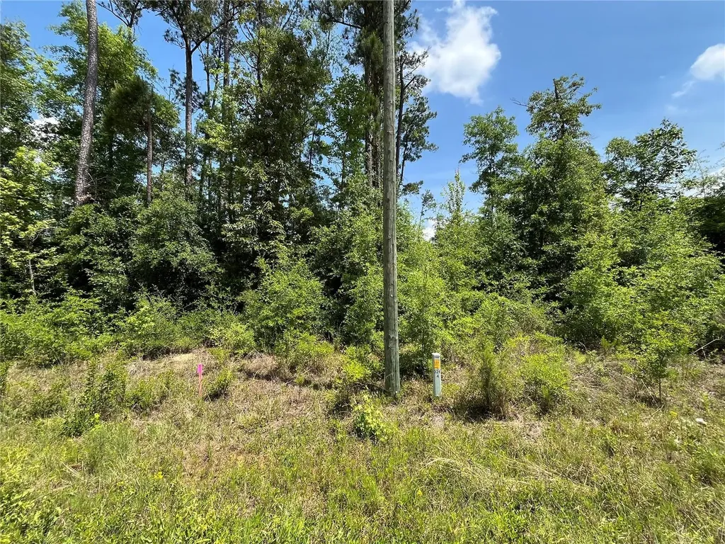 Tbd Grand Quiviera Circle Alford FL 32420