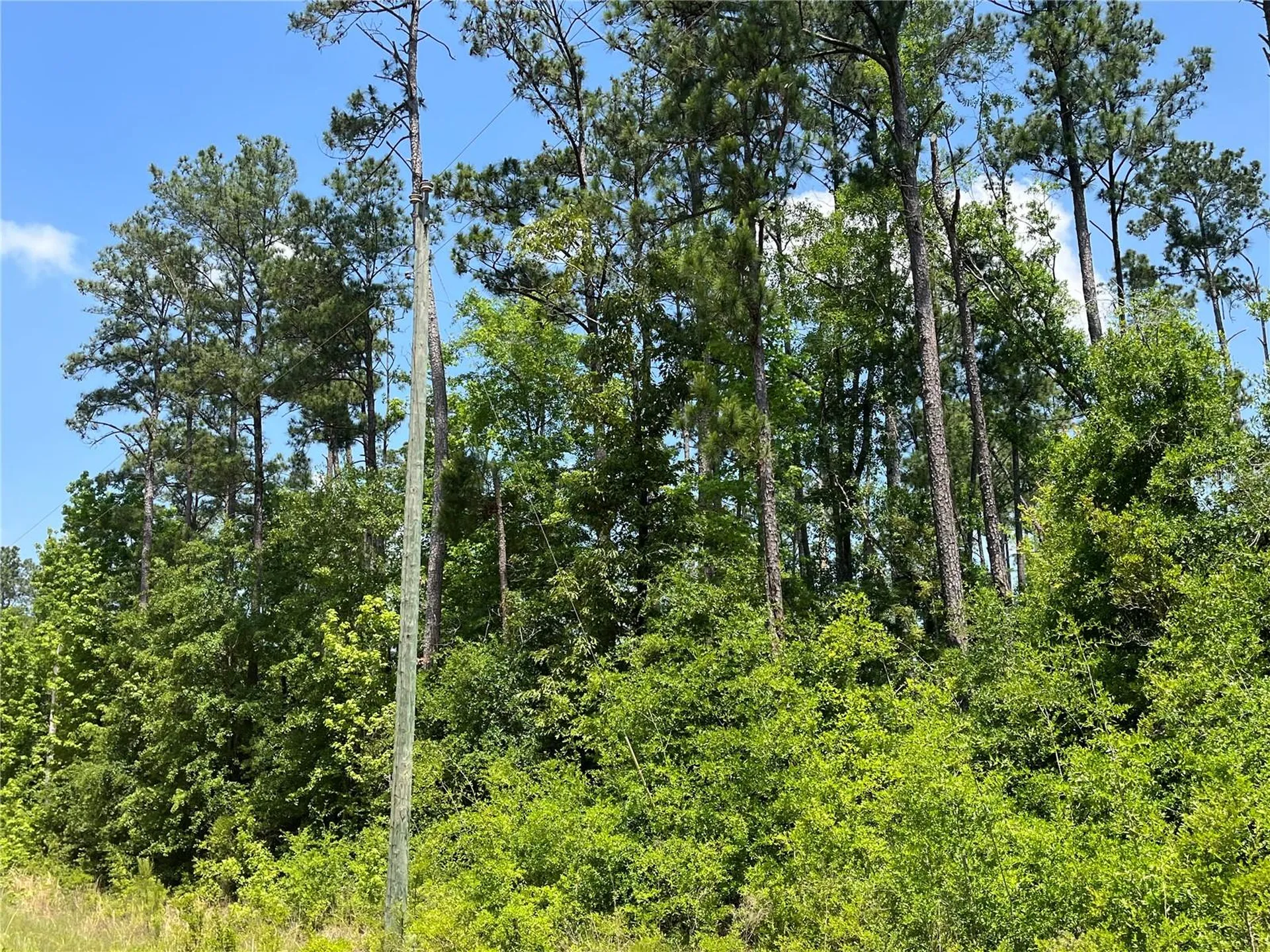 Tbd Grand Quiviera Circle Alford FL 32420