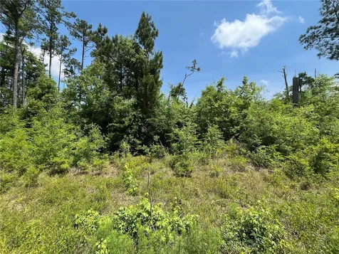 Tbd Grand Quiviera Circle Alford FL 32420