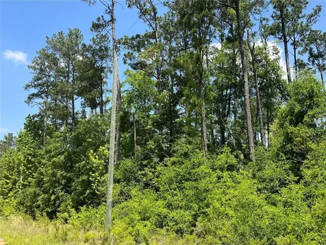 Tbd Grand Quiviera Circle Alford FL 32420