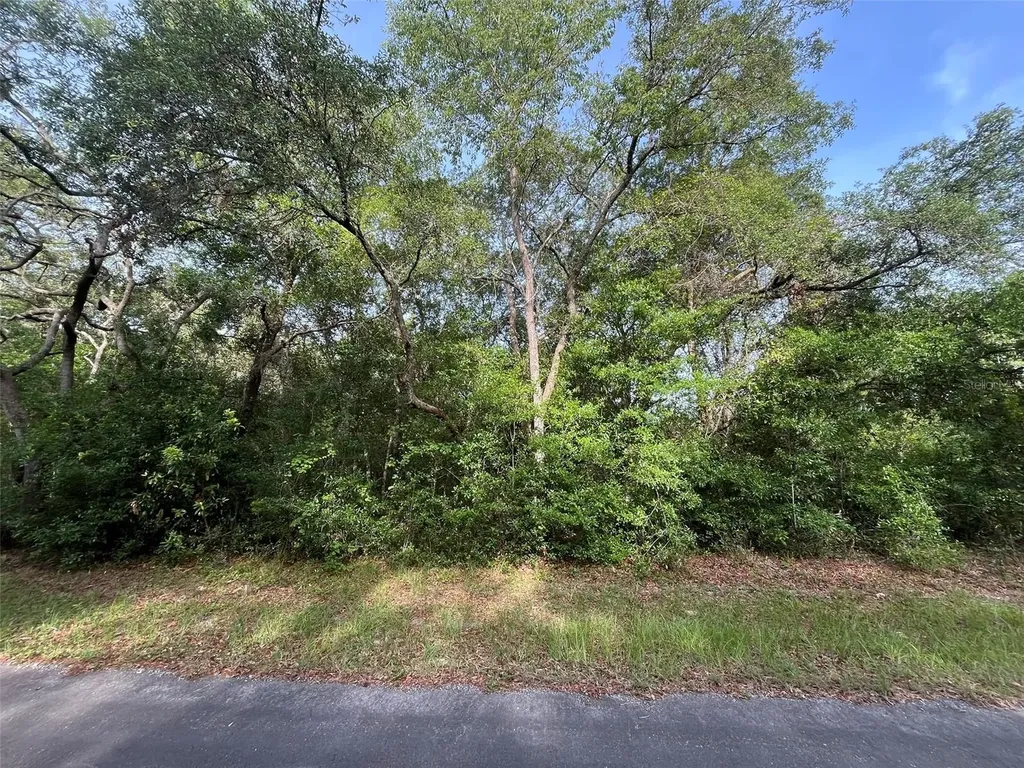 6634 N Pagoda Tree Terrace Hernando FL 34442