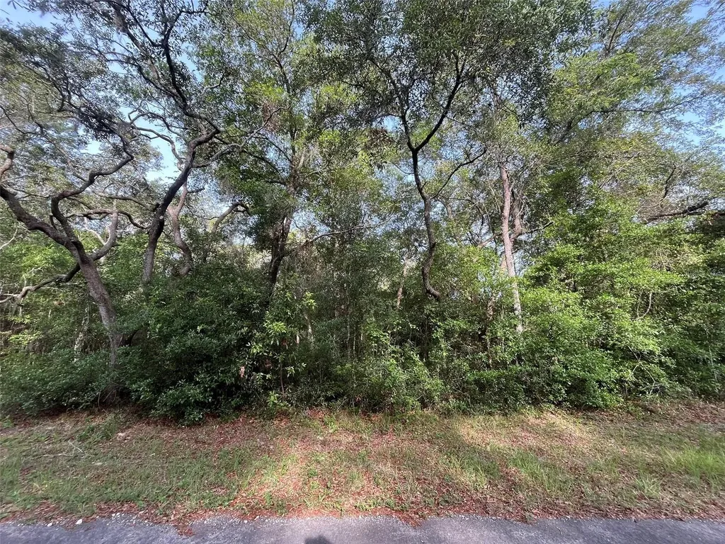 6634 N Pagoda Tree Terrace Hernando FL 34442