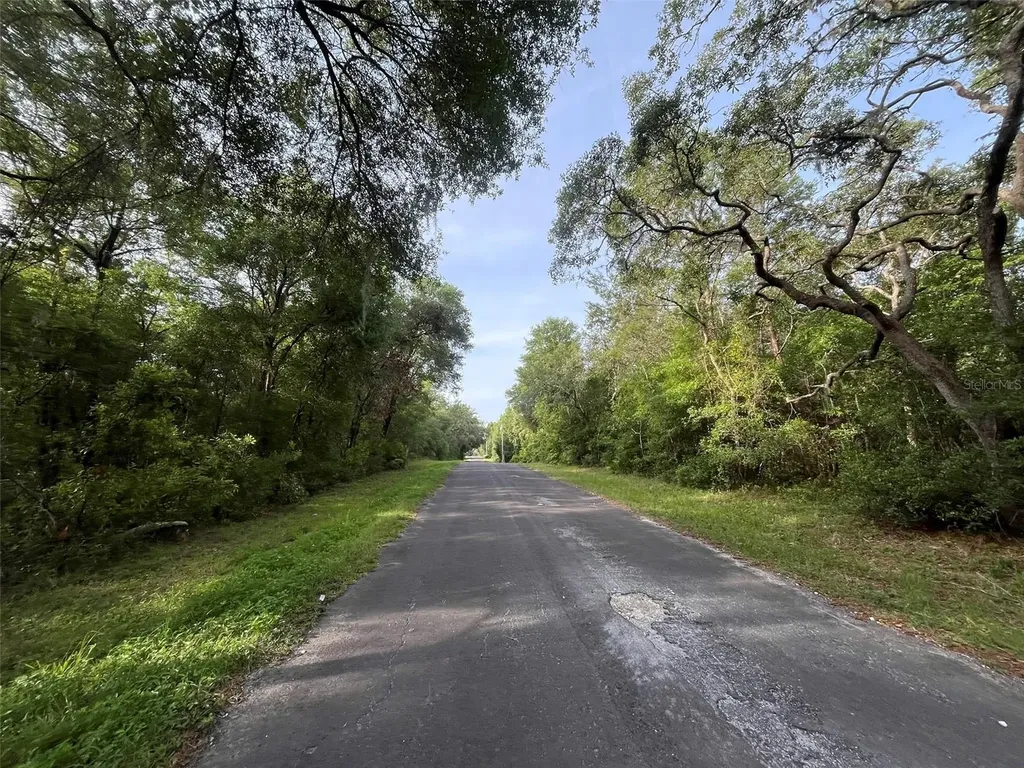 6634 N Pagoda Tree Terrace Hernando FL 34442