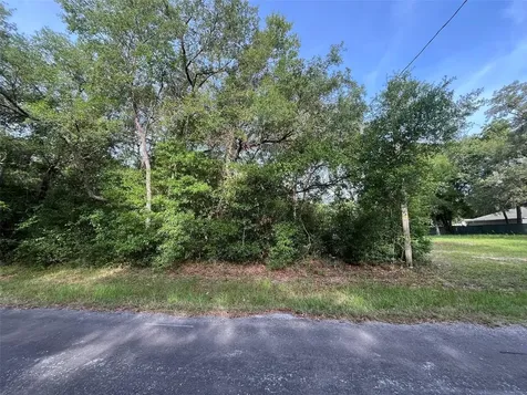 6634 N Pagoda Tree Terrace Hernando FL 34442