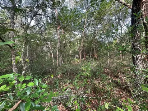 6634 N Pagoda Tree Terrace Hernando FL 34442