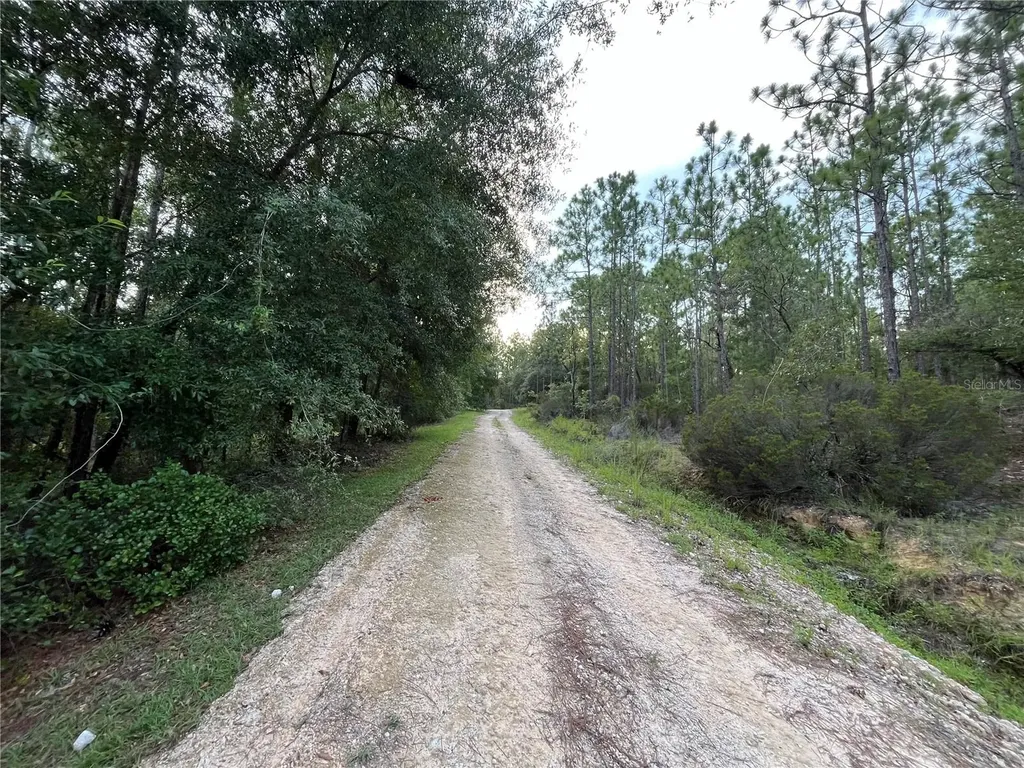 124 New York Avenue Interlachen FL 32148