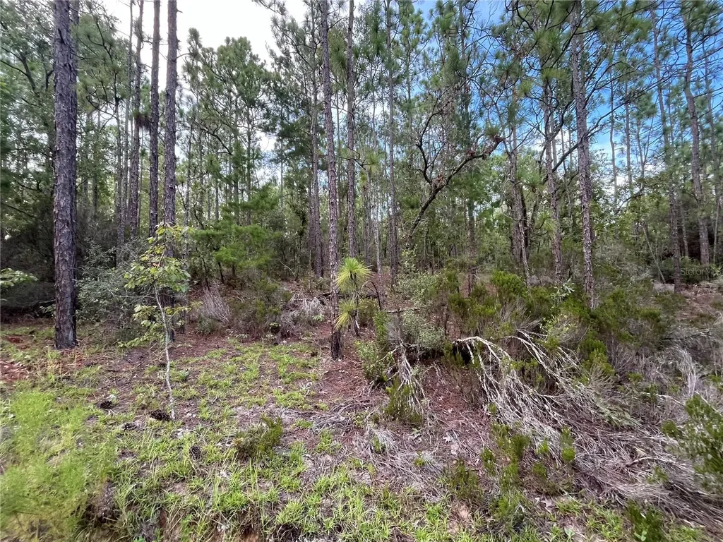 124 New York Avenue Interlachen FL 32148