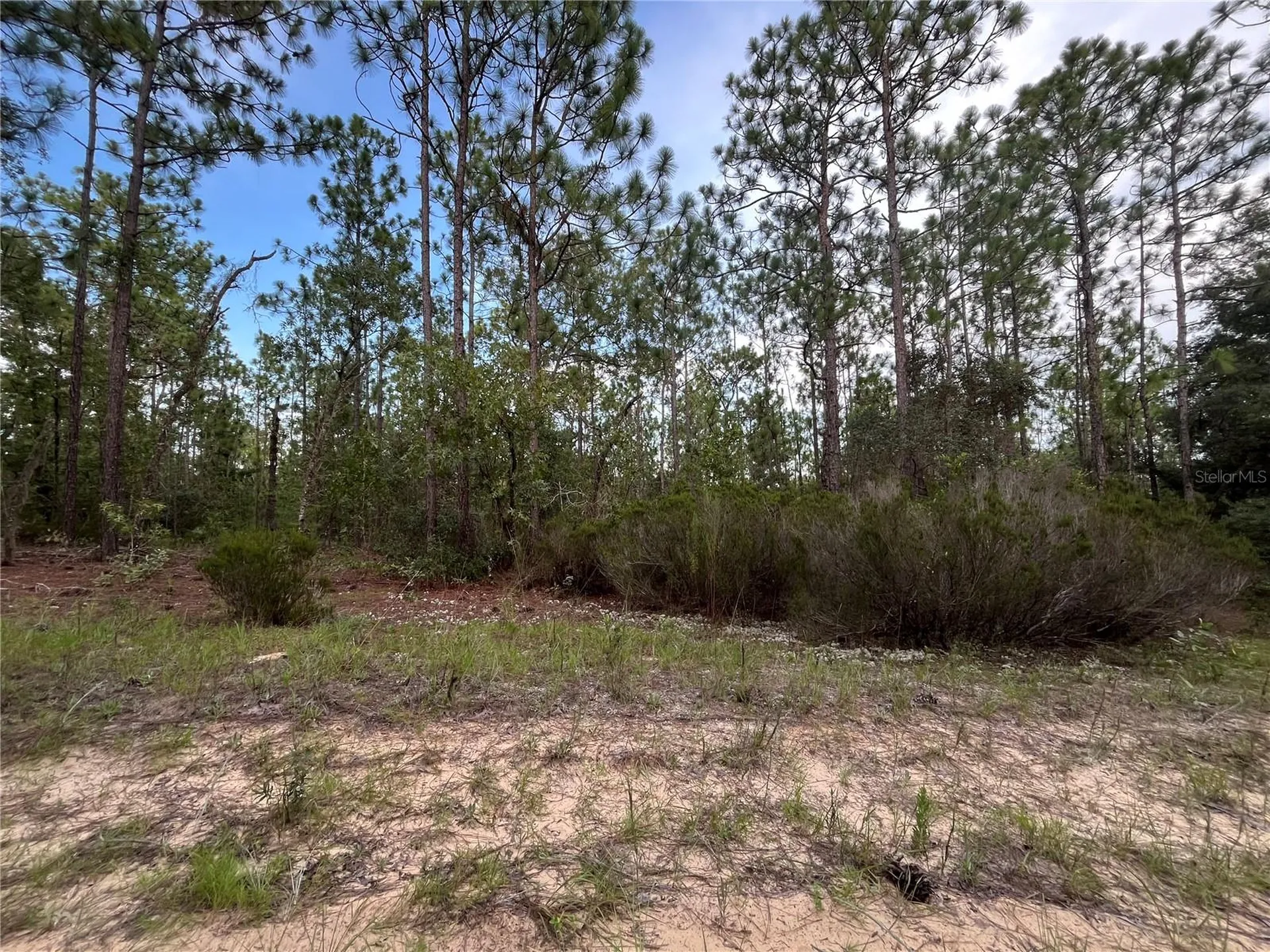 124 New York Avenue Interlachen FL 32148