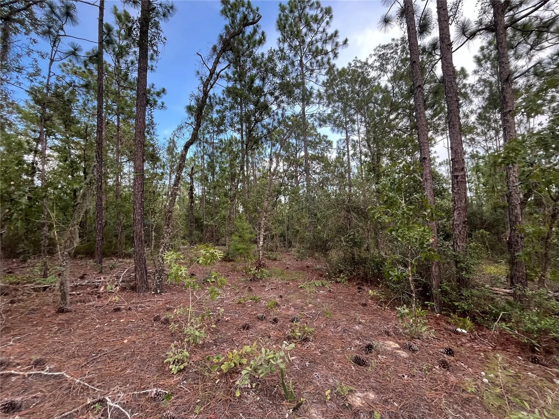 124 New York Avenue Interlachen FL 32148