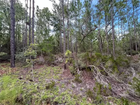 124 New York Avenue Interlachen FL 32148
