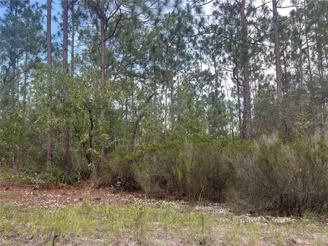 124 New York Avenue Interlachen FL 32148