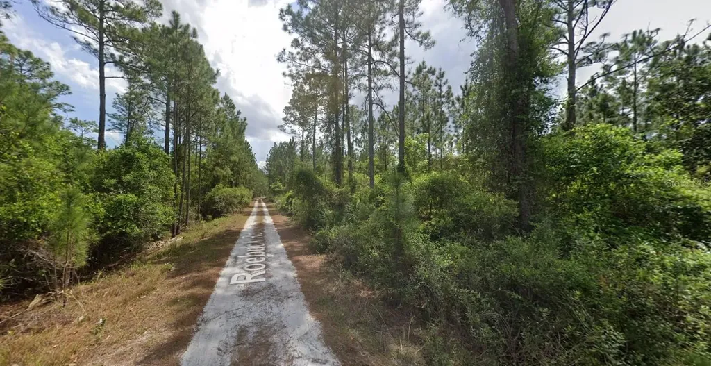 147 Roebuck Street Georgetown FL 32139