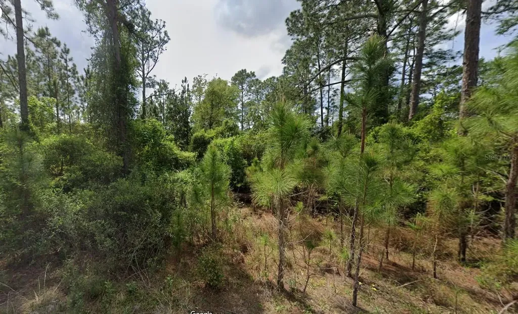 147 Roebuck Street Georgetown FL 32139