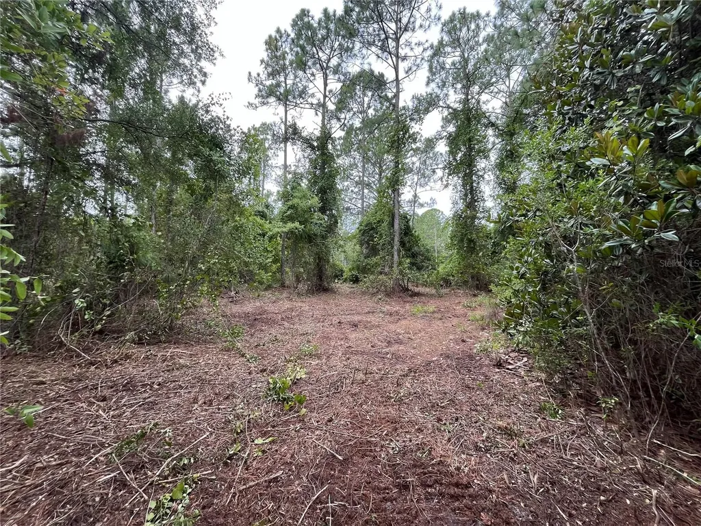 147 Roebuck Street Georgetown FL 32139