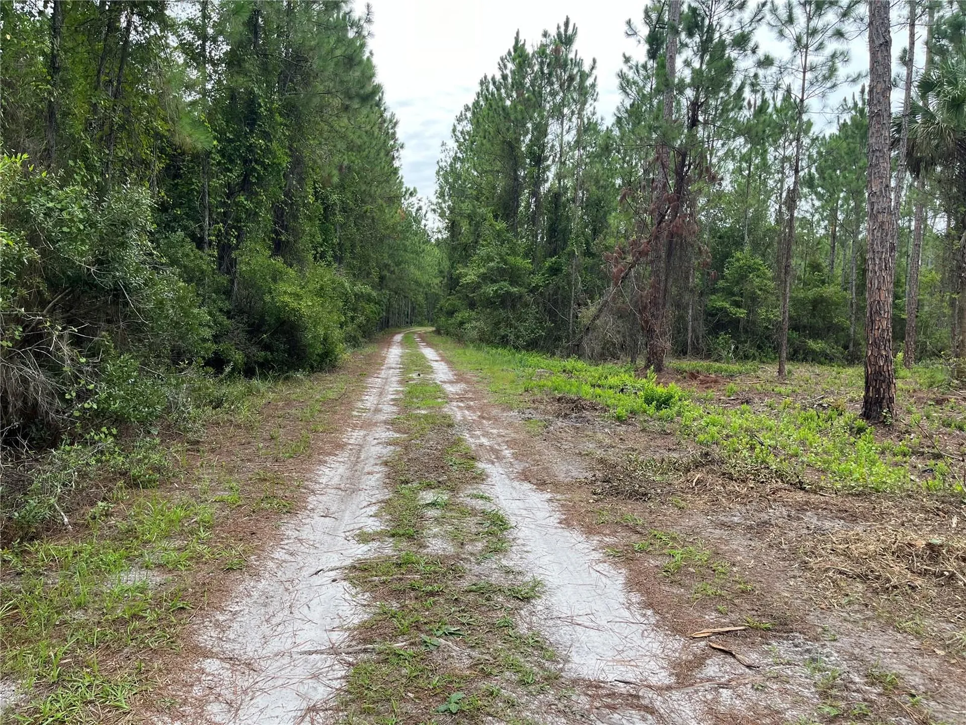 147 Roebuck Street Georgetown FL 32139
