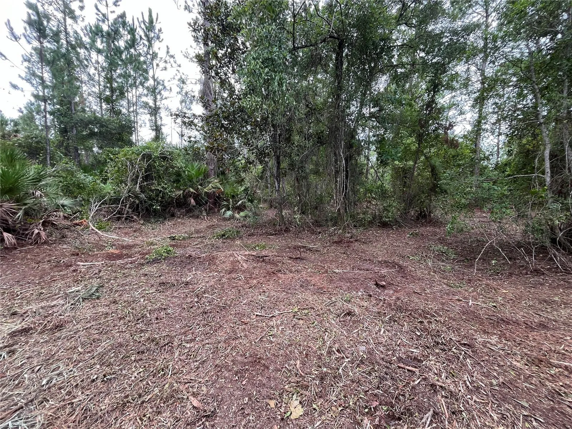 147 Roebuck Street Georgetown FL 32139