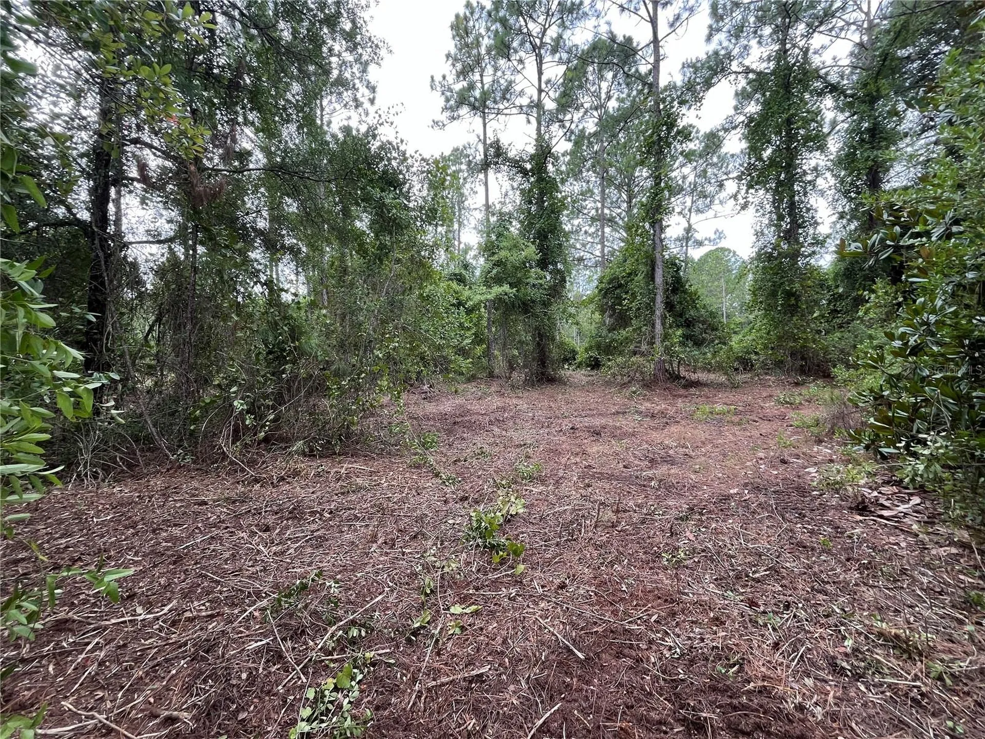 147 Roebuck Street Georgetown FL 32139