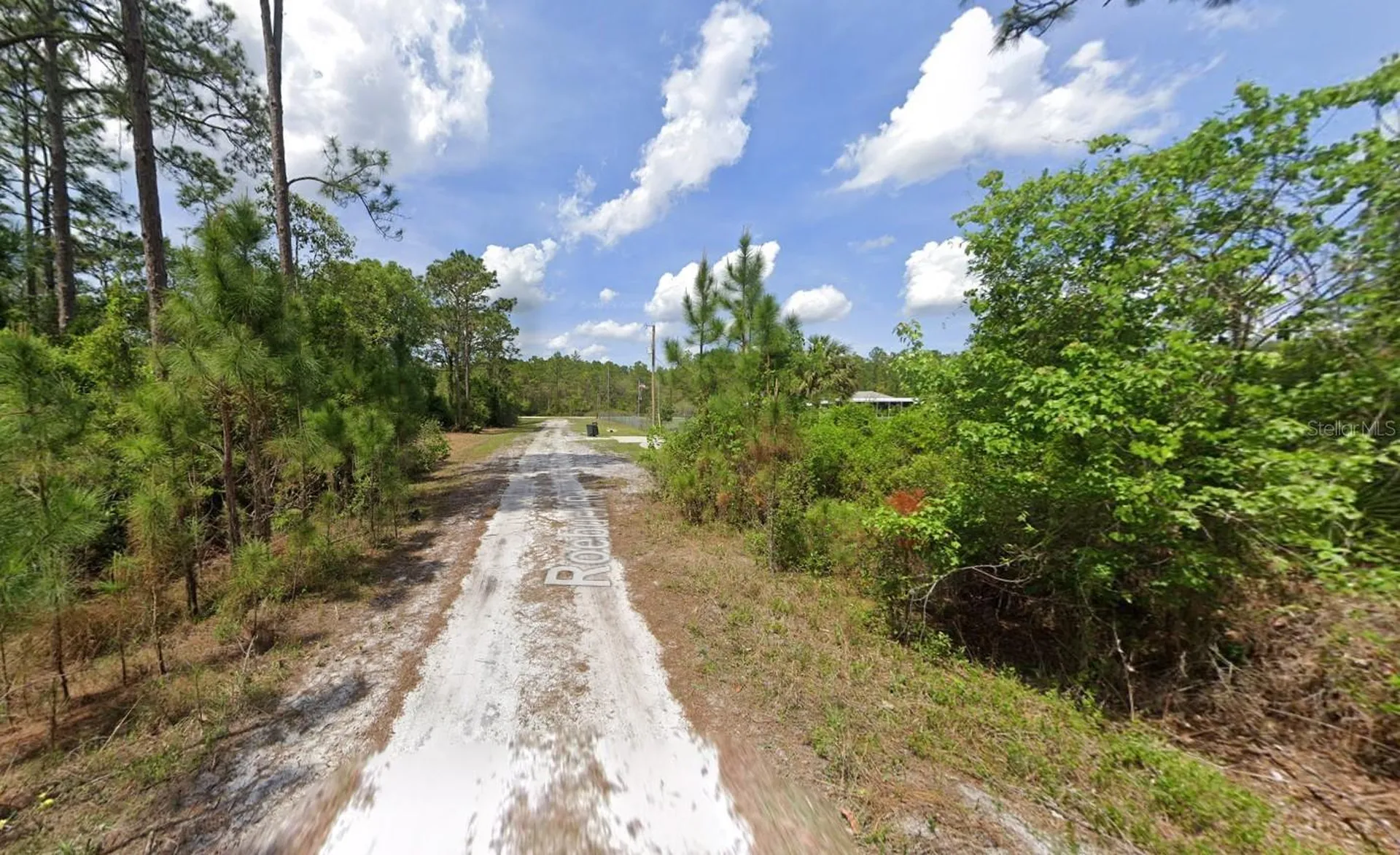 147 Roebuck Street Georgetown FL 32139