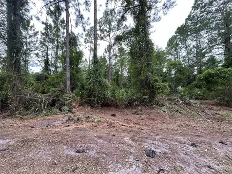147 Roebuck Street Georgetown FL 32139