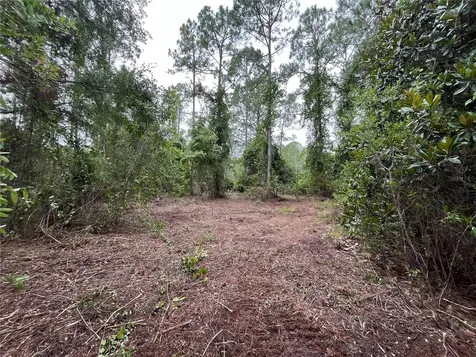 147 Roebuck Street Georgetown FL 32139