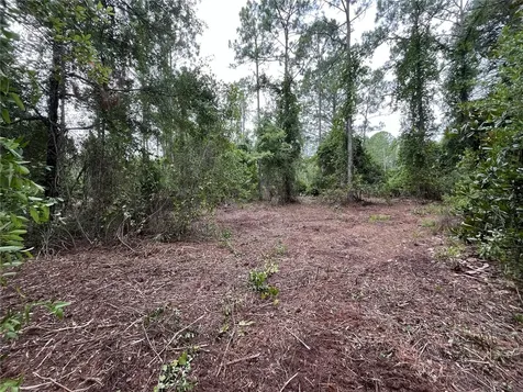 147 Roebuck Street Georgetown FL 32139