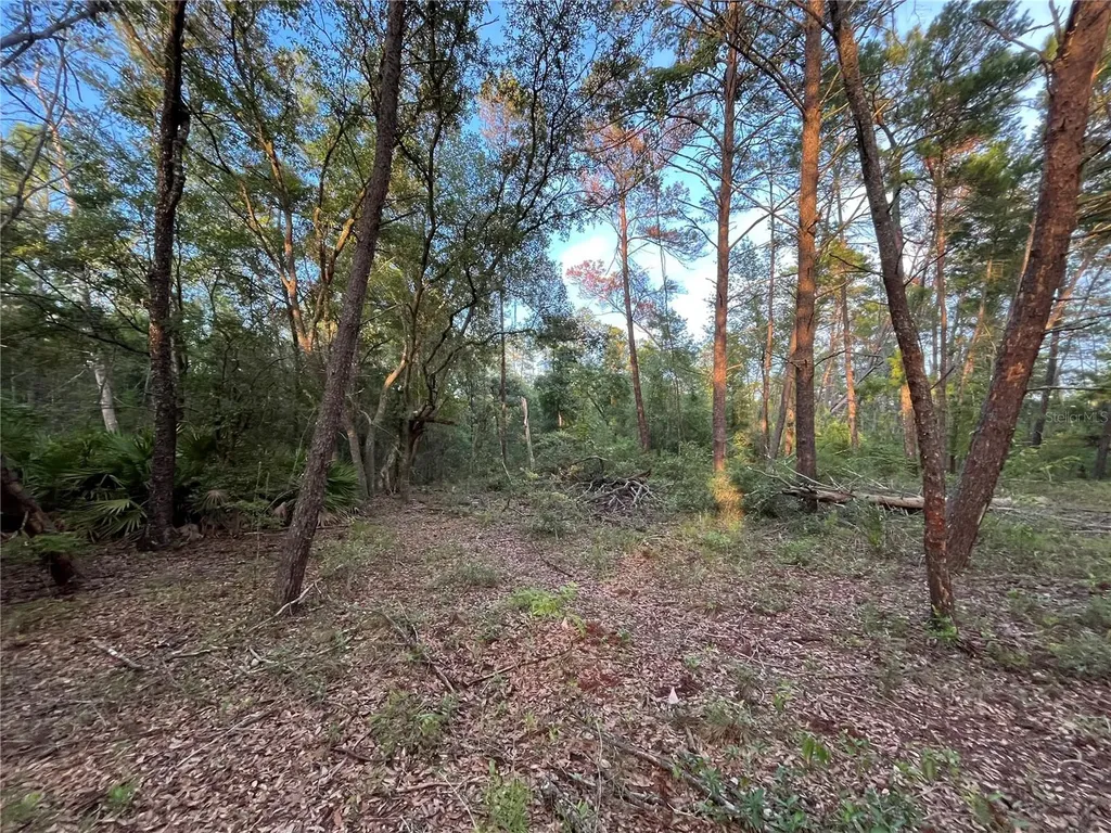 Tbd Twin Lakes Road Interlachen FL 32148