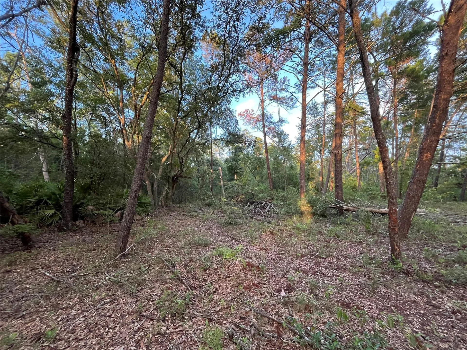 Tbd Twin Lakes Road Interlachen FL 32148
