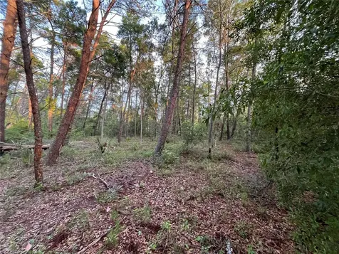 Tbd Twin Lakes Road Interlachen FL 32148