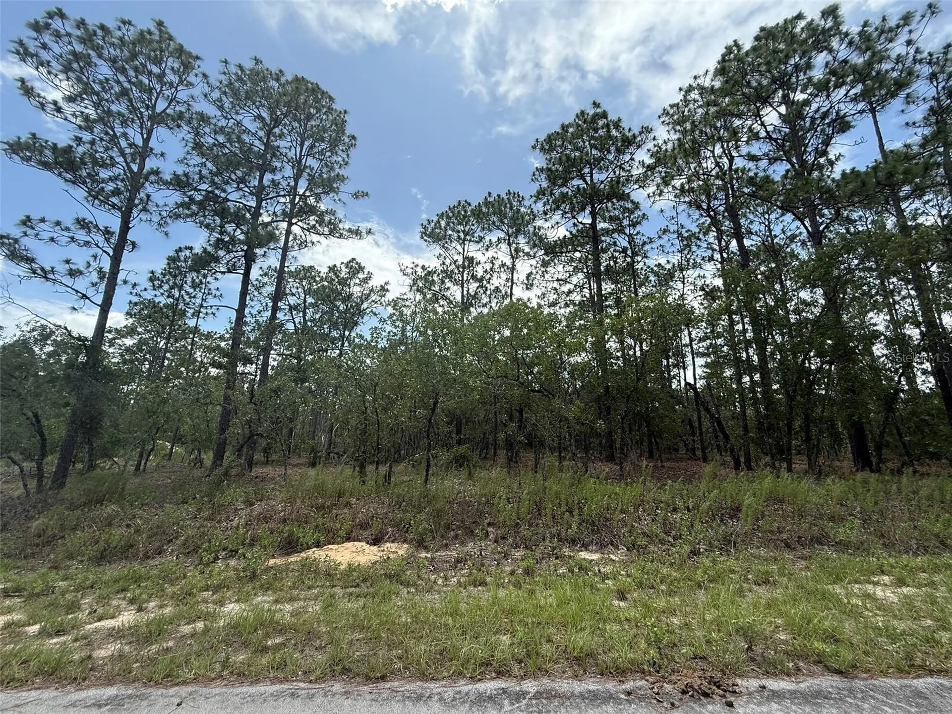 NW Tree Top Road Dunnellon FL 34431