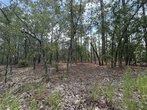 NW Tree Top Road Dunnellon FL 34431