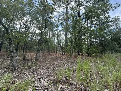 NW Tree Top Road Dunnellon FL 34431