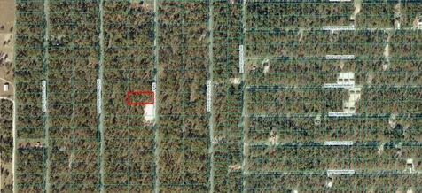 NW Tree Top Road Dunnellon FL 34431