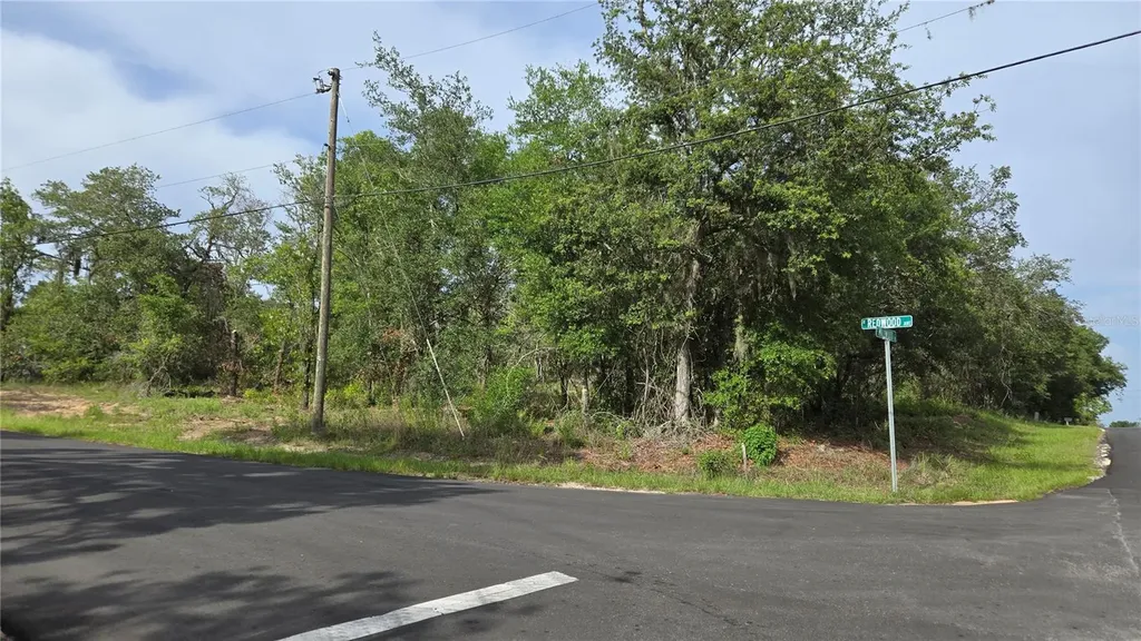 4771 N Redwood Avenue Hernando FL 34442