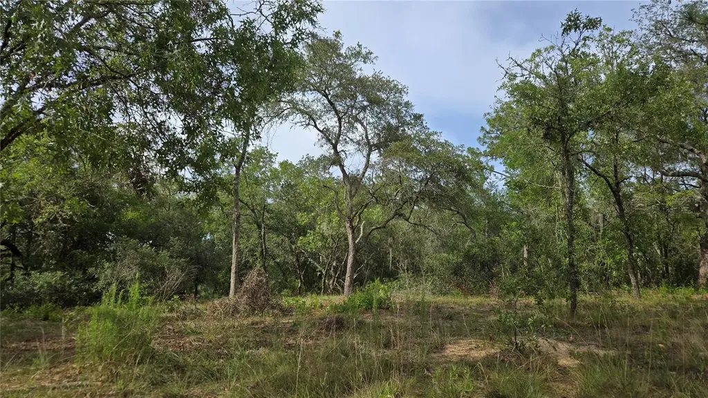 4771 N Redwood Avenue Hernando FL 34442