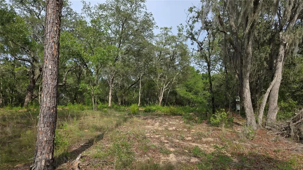 4771 N Redwood Avenue Hernando FL 34442