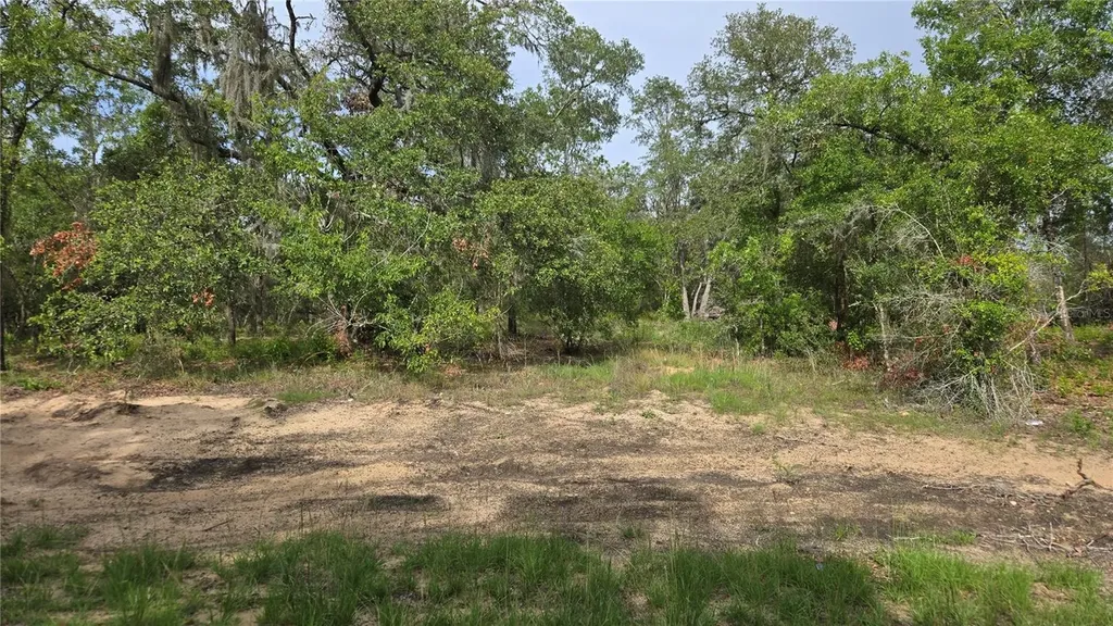 4771 N Redwood Avenue Hernando FL 34442