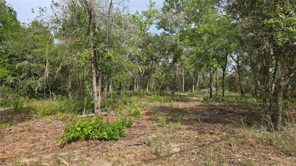 4771 N Redwood Avenue Hernando FL 34442