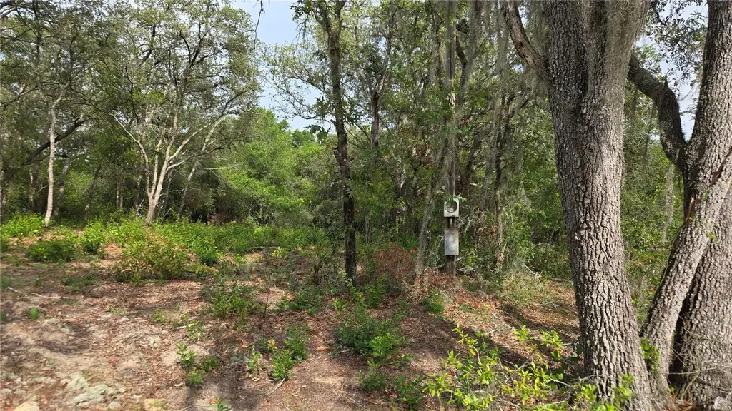 4771 N Redwood Avenue Hernando FL 34442