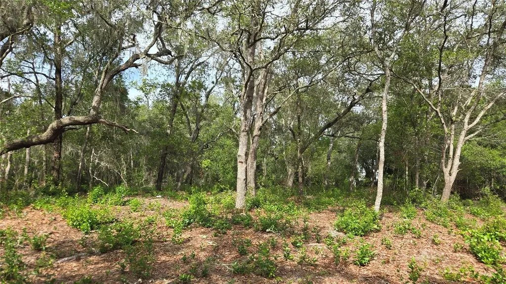 4771 N Redwood Avenue Hernando FL 34442