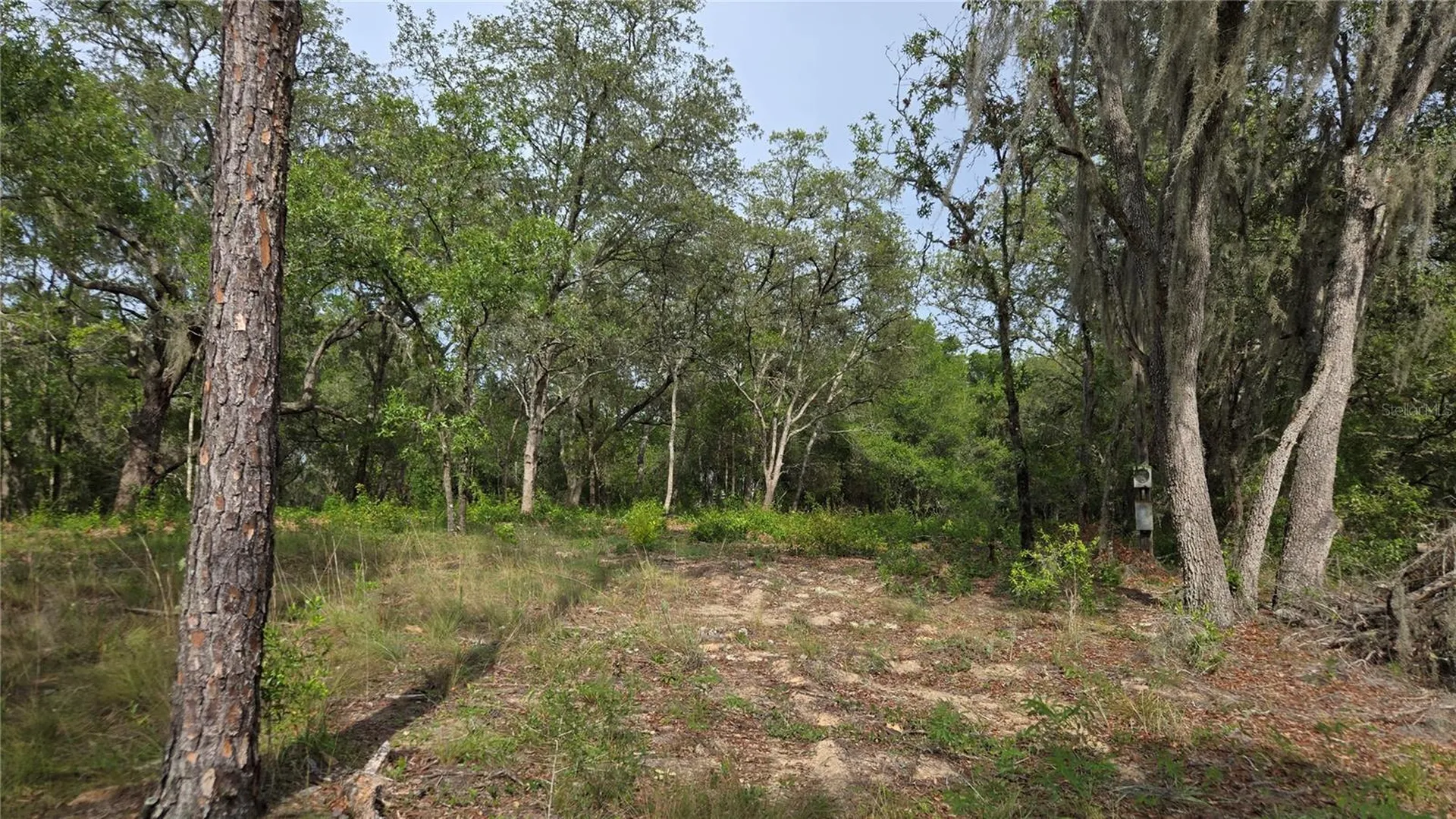 4771 N Redwood Avenue Hernando FL 34442