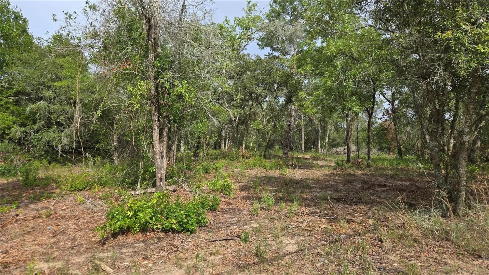 4771 N Redwood Avenue Hernando FL 34442