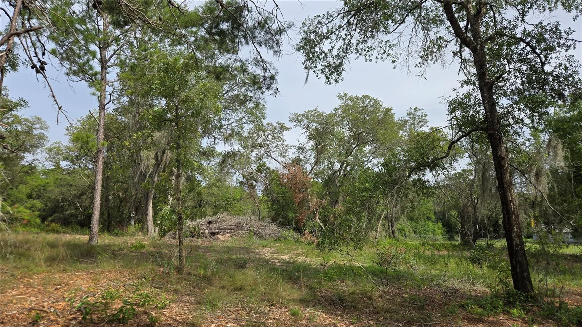 4771 N Redwood Avenue Hernando FL 34442