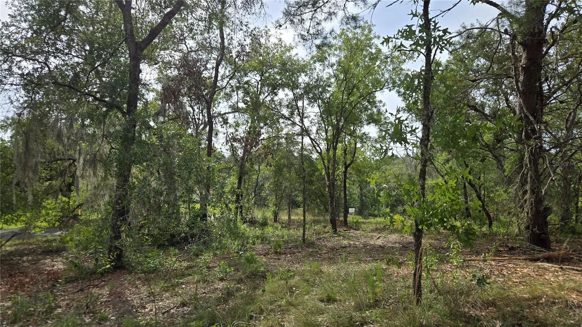 4771 N Redwood Avenue Hernando FL 34442