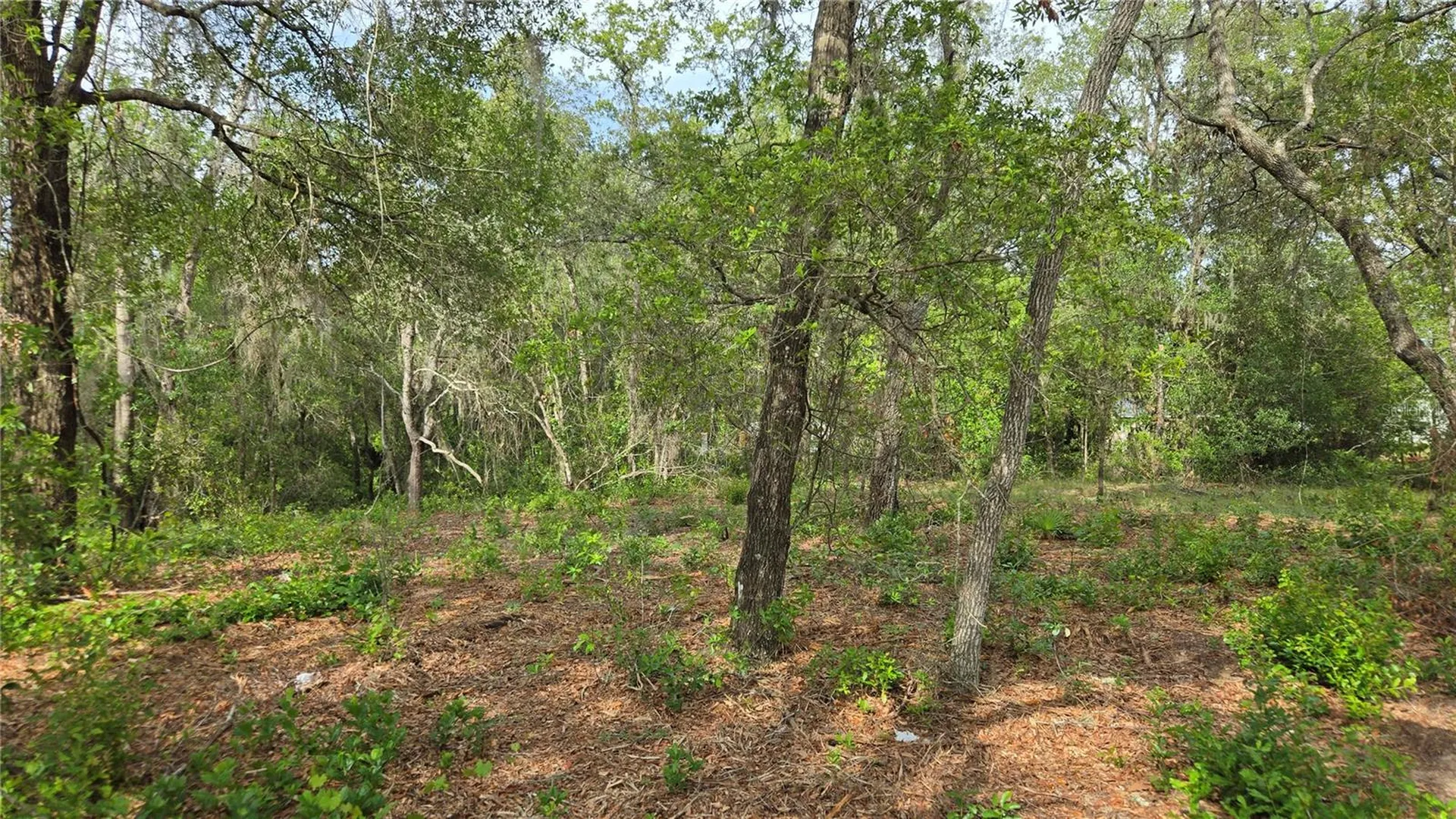 4771 N Redwood Avenue Hernando FL 34442