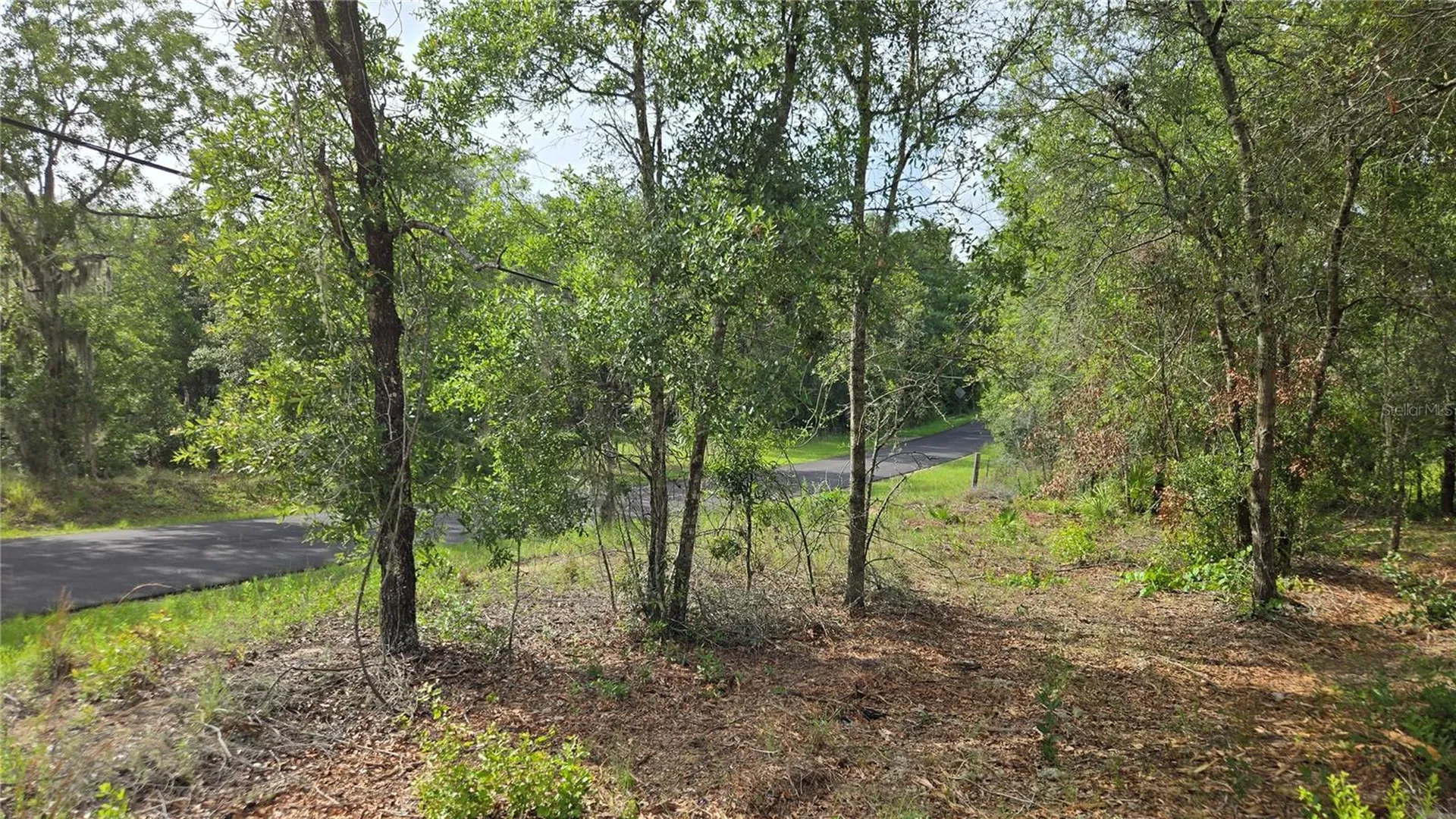 4771 N Redwood Avenue Hernando FL 34442