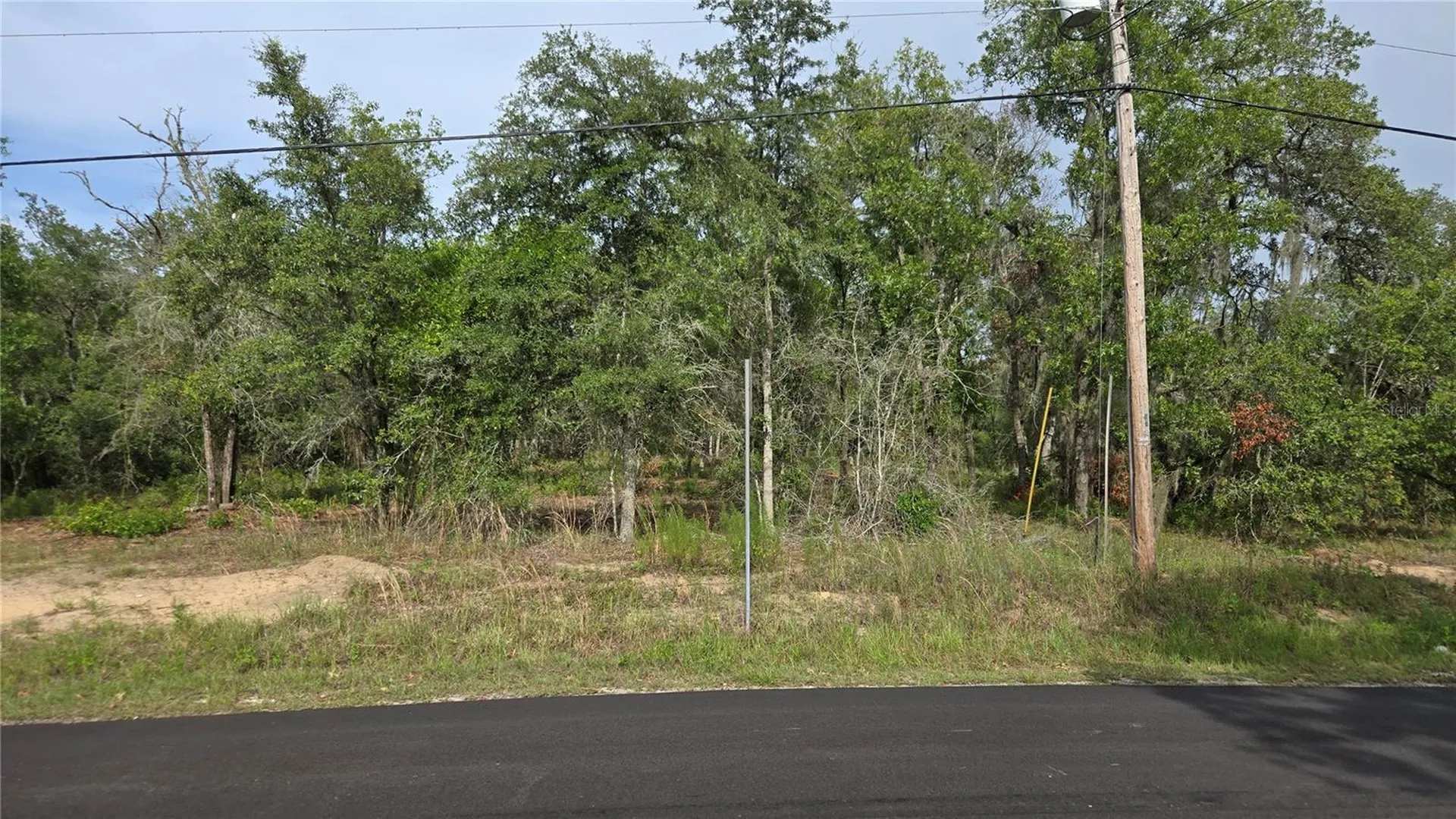 4771 N Redwood Avenue Hernando FL 34442