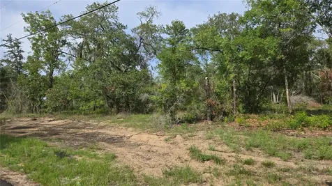 4771 N Redwood Avenue Hernando FL 34442