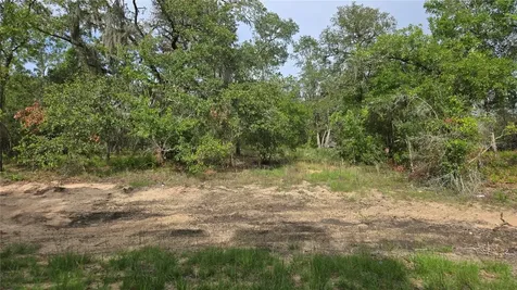 4771 N Redwood Avenue Hernando FL 34442